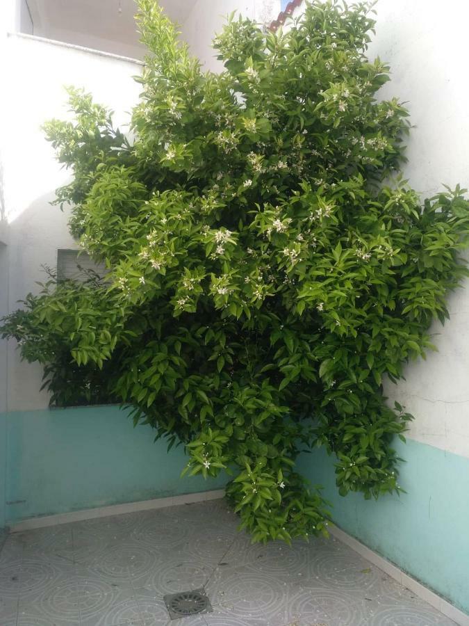 Casa Familiar La Lunara * Caces